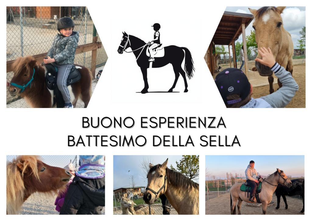 Buono per Battesimo della sella