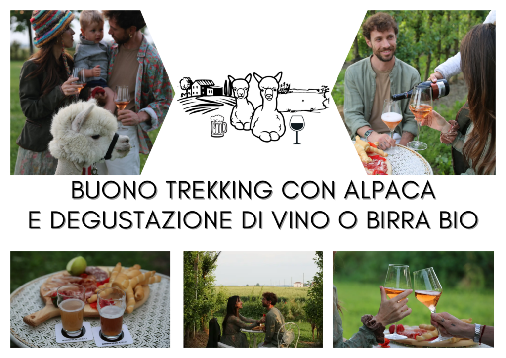 Trekking con gli alpaca e degustazione di vini o birre